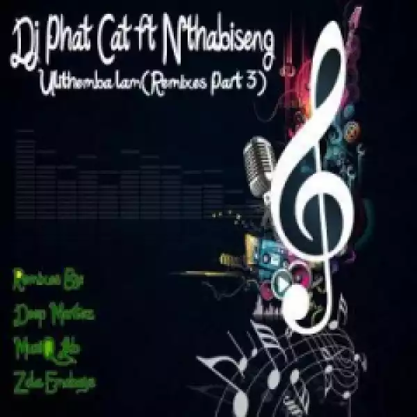 Dj Phat Cat - Ulithemba Lam (zola Emoboys Drum N Bass Drag Remix) Ft. Nthabiseng